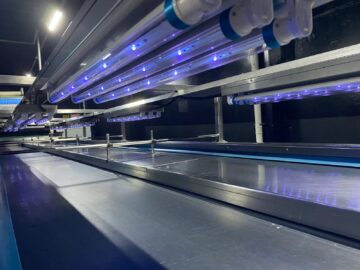 uva led lamba
