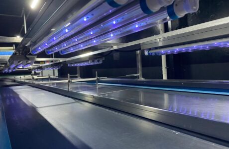 uva led lamba, Aflatoksin tespiti UV lamba,