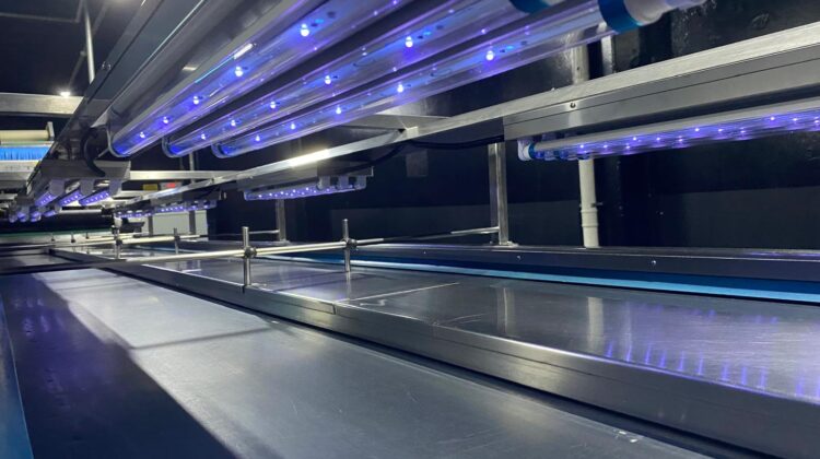 uva led lamba