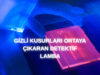 Endüstriyel kalite kontrol UVA lamba