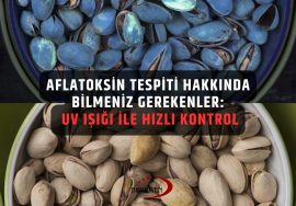 aflatoksin tespiti