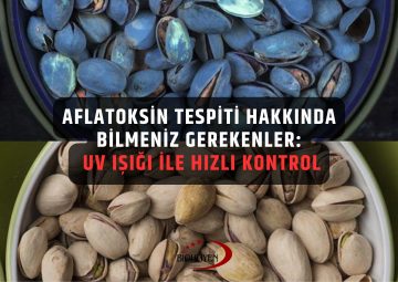 aflatoksin tespiti