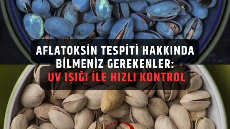 aflatoksin tespiti