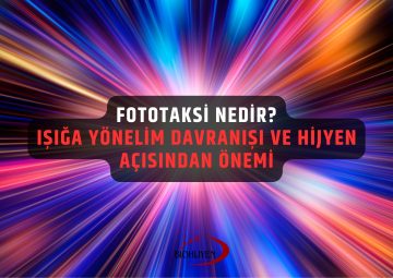 fototaksi nedir